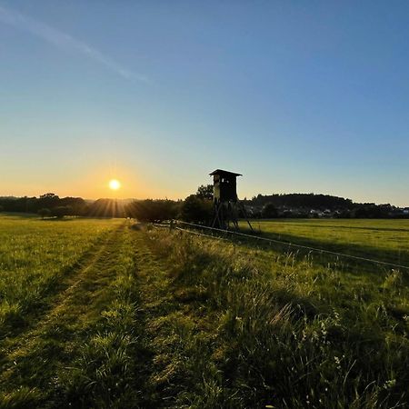 Schoene Ferienwohnung Mitten Im Pfaelzerwaldgebiet Leimen  Екстер'єр фото