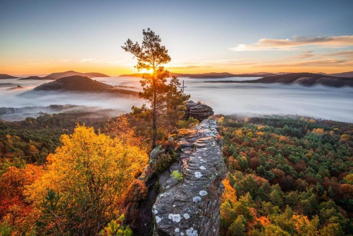 Schoene Ferienwohnung Mitten Im Pfaelzerwaldgebiet Leimen  Екстер'єр фото