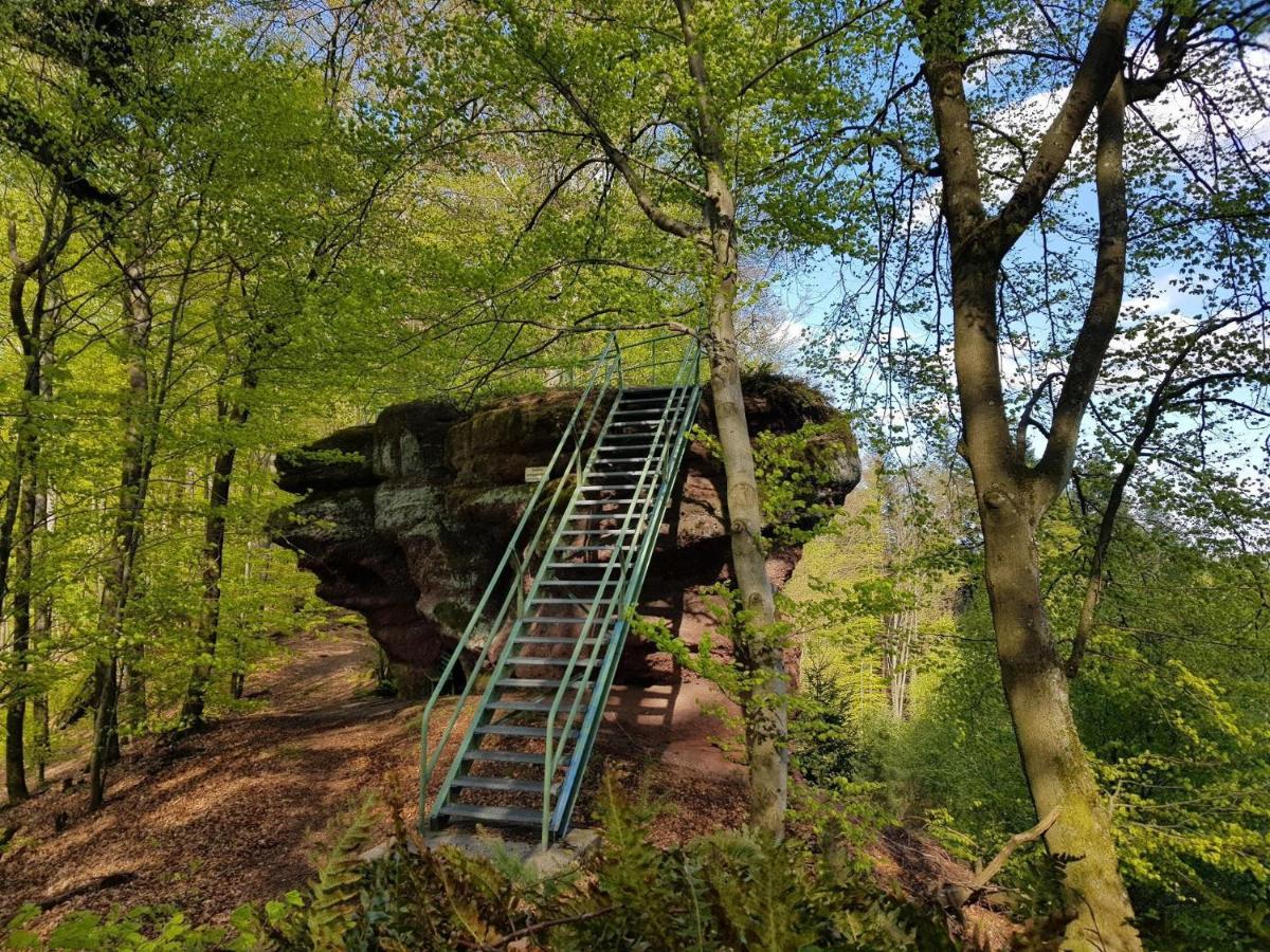 Schoene Ferienwohnung Mitten Im Pfaelzerwaldgebiet Leimen  Екстер'єр фото