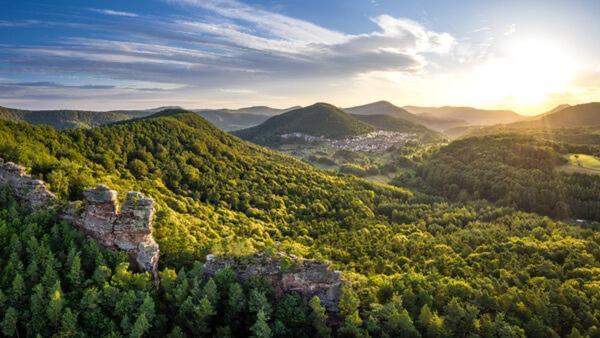 Schoene Ferienwohnung Mitten Im Pfaelzerwaldgebiet Leimen  Екстер'єр фото