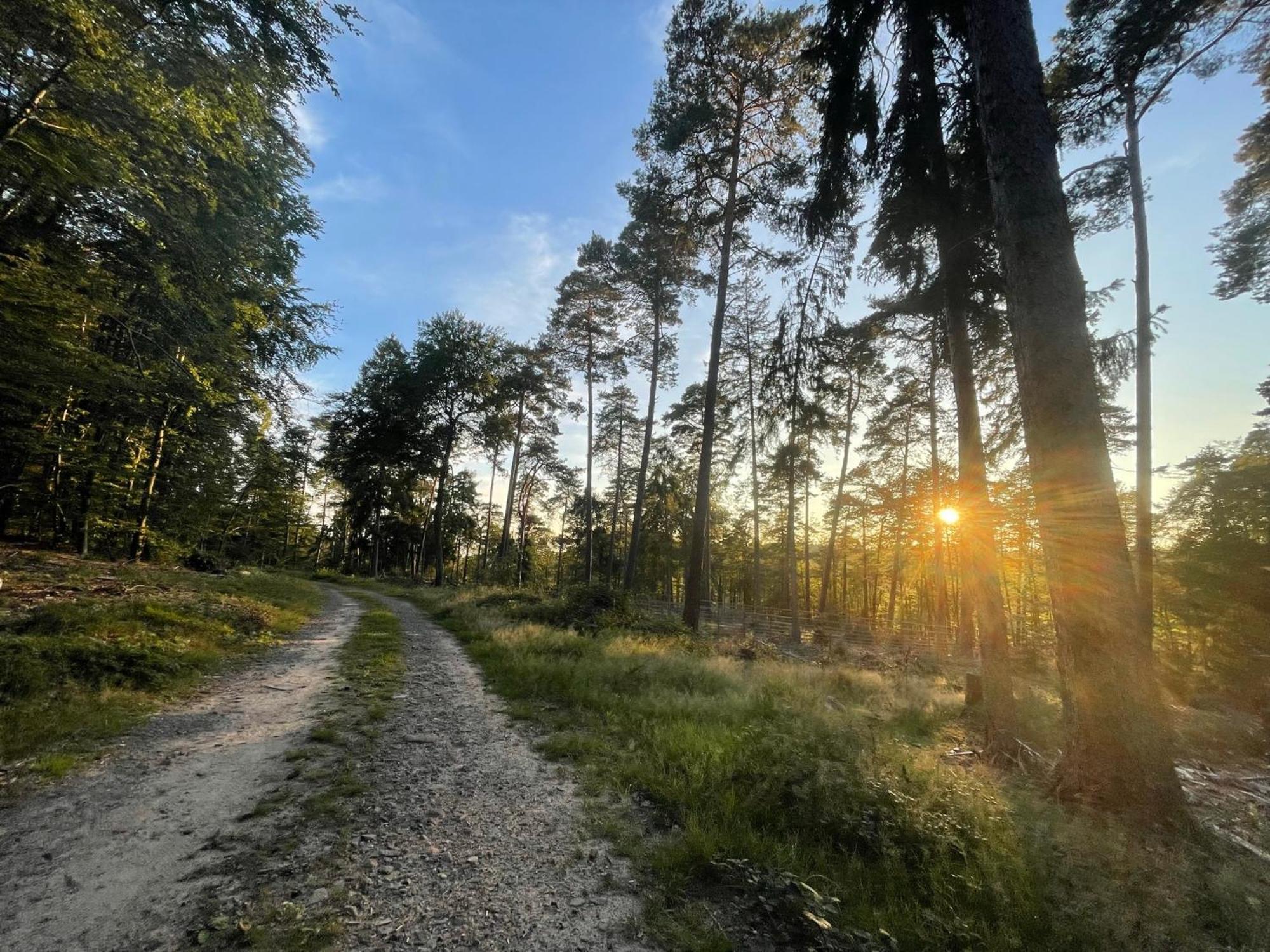 Schoene Ferienwohnung Mitten Im Pfaelzerwaldgebiet Leimen  Екстер'єр фото